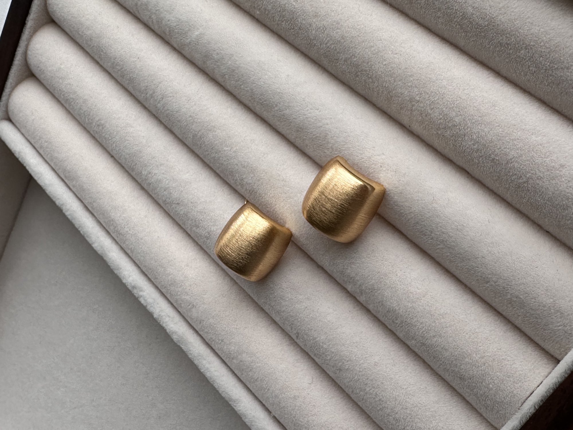 Brushed Earrings